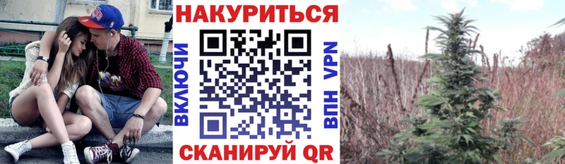 Купить Конопля  Меф мяу мяу  АМФ  Гашиш  КОКАИН  Дигора