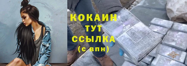 ешки Аркадак