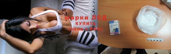 ешки Аркадак