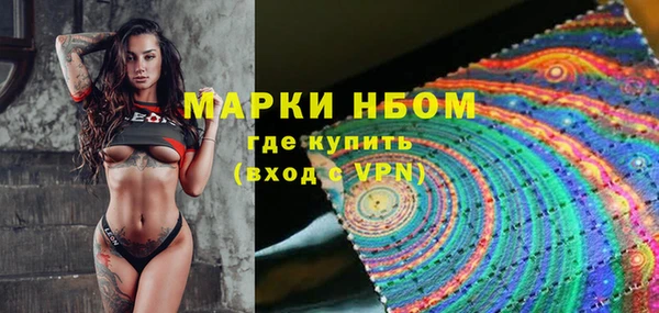 ешки Аркадак