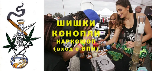 крисы Армянск