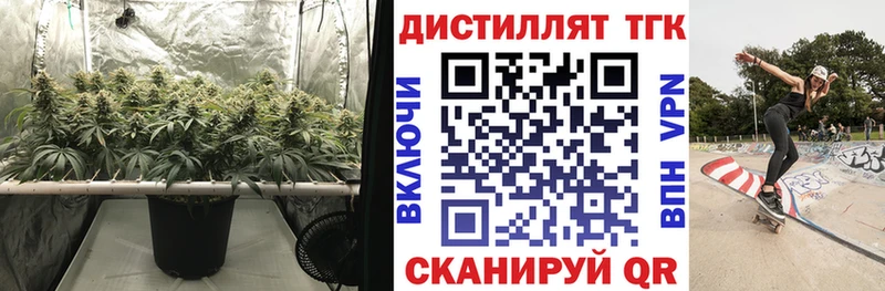 Купить  Дигора  ТГК Wax 