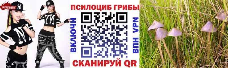 Галлюциногенные грибы прущие грибы  Купить  Дигора 