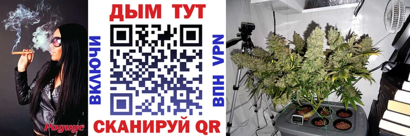 Купить  Дигора  Конопля OG Kush 